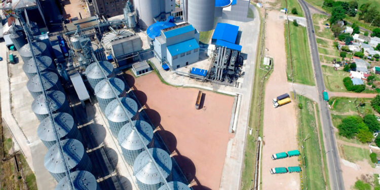 MTR Solar fecha parceria com a divisão de Eletrificação da ABB para suprir demanda no 1º semestre e capacidade para gerar 400MW