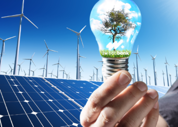 Mais de 45 empresas do Centro-Oeste migram para o mercado livre de energia com a 2W Ecobank