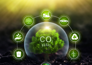 Mercado de crédito de carbono é aprovado no Senado