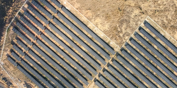 Maior distribuidor de equipamentos para usinas GD do Brasil, MTR Solar já comercializa módulos Hyper-Ion (HJT) da Risen Energy