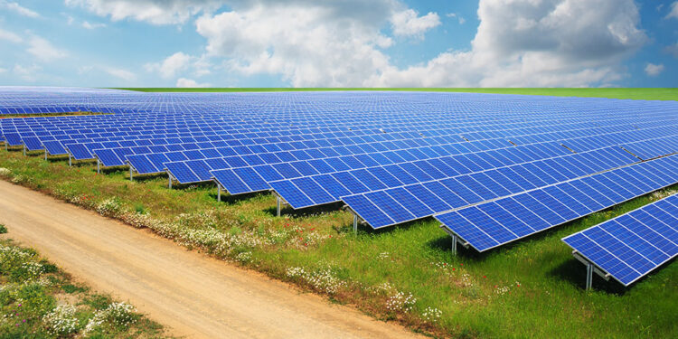 Absolar: Energia solar recebeu investimentos de R$ 59,6 bi em 2023