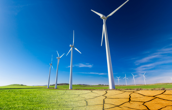 Após negativa de compra pela Matrix, presidente e membros do conselho da 2W Ecobank renunciam