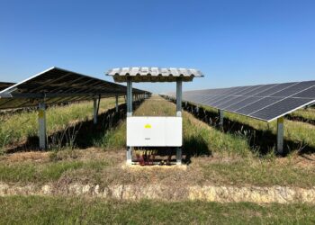 Com investimentos de R$ 10 milhões em tecnologia, RZK Energia e Sungrow fazem parceria em 22 usinas solares