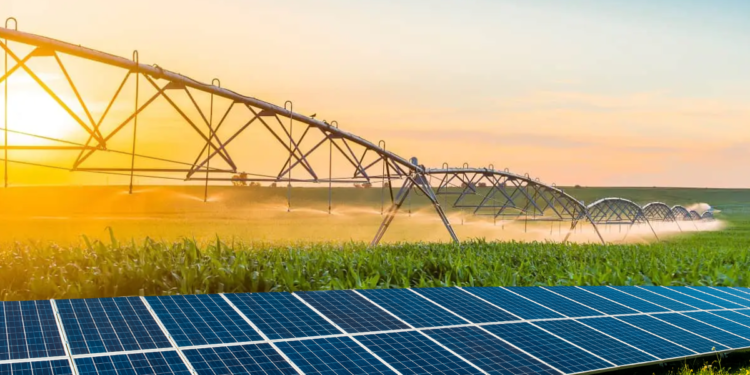 MTR Solar anuncia solução inovadora hibrida para o Agro com independência de energia e redução de custos de 70%