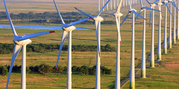 Brasil bate recorde de geração de energia eólica em novembro