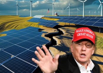 Na contramão, Trump cancela $14 bilhões em projetos de energia limpa nos EUA