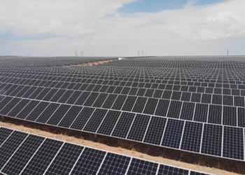 Na contramão, Trump cancela $14 bilhões em projetos de energia limpa nos EUA