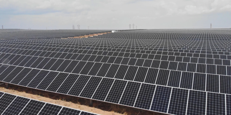 Na contramão, Trump cancela $14 bilhões em projetos de energia limpa nos EUA