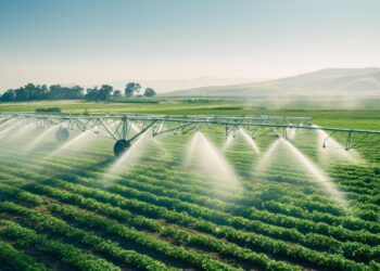 Transformação no agro: MTR-BESS usa energia solar e soluções híbridas para potencializar a irrigação e outras atividades no Centro-Oeste