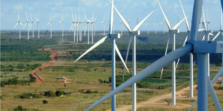 Casa dos Ventos busca regiões com menos cortes de geração para 2 GW em novas renováveis