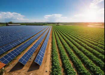 Energia solar avança no Brasil em 2025 e fortalece papel estratégico na matriz energética